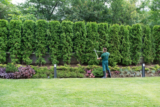 Best Soil Testing and Treatment  in Daleville, VA