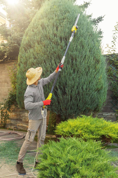 Best Soil Testing and Treatment  in Daleville, VA